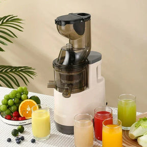 🎁Cold Press Juicer Machines