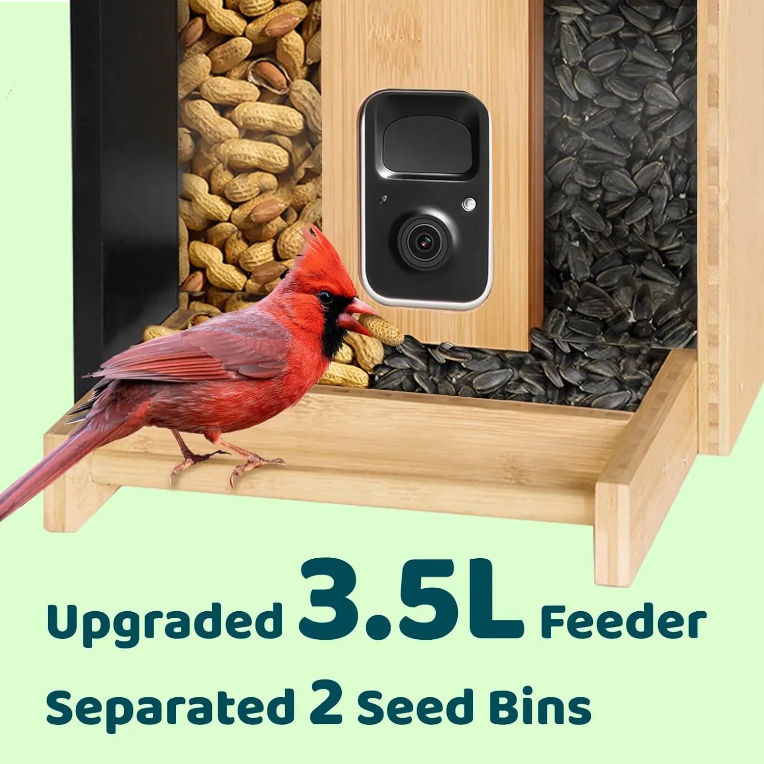 AI Smart Bird Feeder with Camera Solar Powered