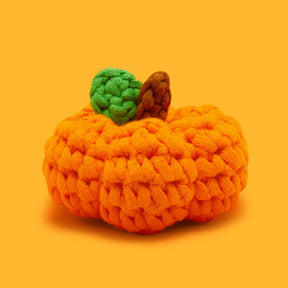 🎃Tiny Pumpkin Kit