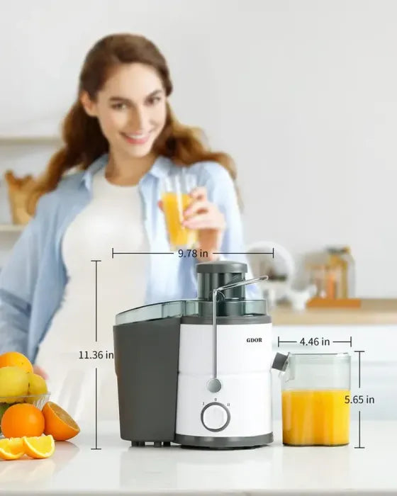 Juice Extractor Machine