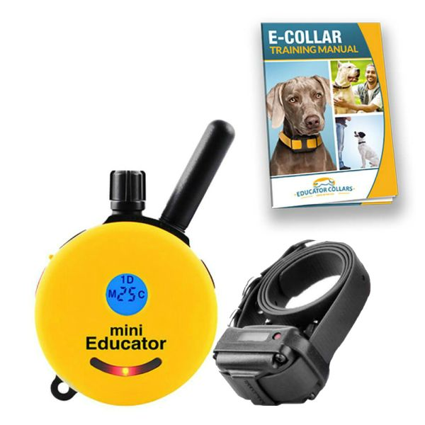 🎁 E-collar vibration type