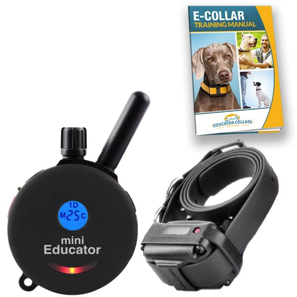 🎁 E-collar vibration type